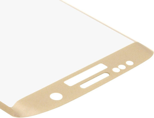 3D Full Face Tempered Glass Gold (Galaxy S8)