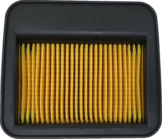 Yamaha Motorcycle Air Filter for Yamaha CRYPTON-X135