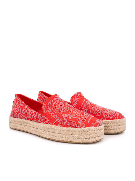 Toms Toms