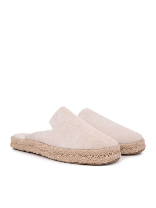 Toms