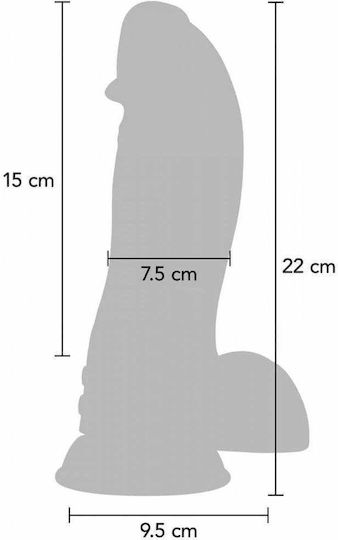 Hidden Desire Ρεαλιστικό Dildo Μαύρο