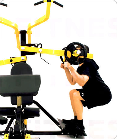 Pegasus pg-167 Multi-Gym with Weights 380kg