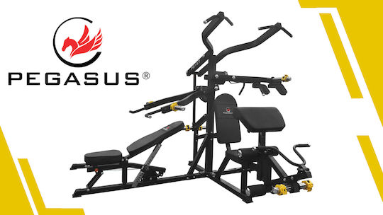 Pegasus pg-167 Multi-Gym with Weights 380kg