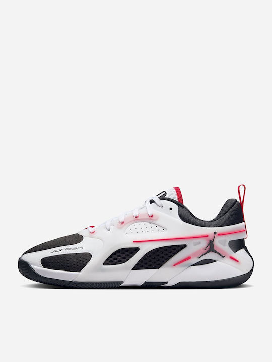 Heir Series Low Basketball Shoes Multicolour
