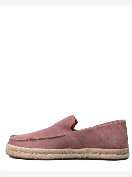Toms
