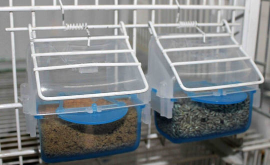Moldes Ave Bird Feeder