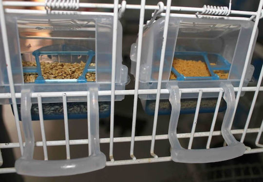 Moldes Ave Bird Feeder