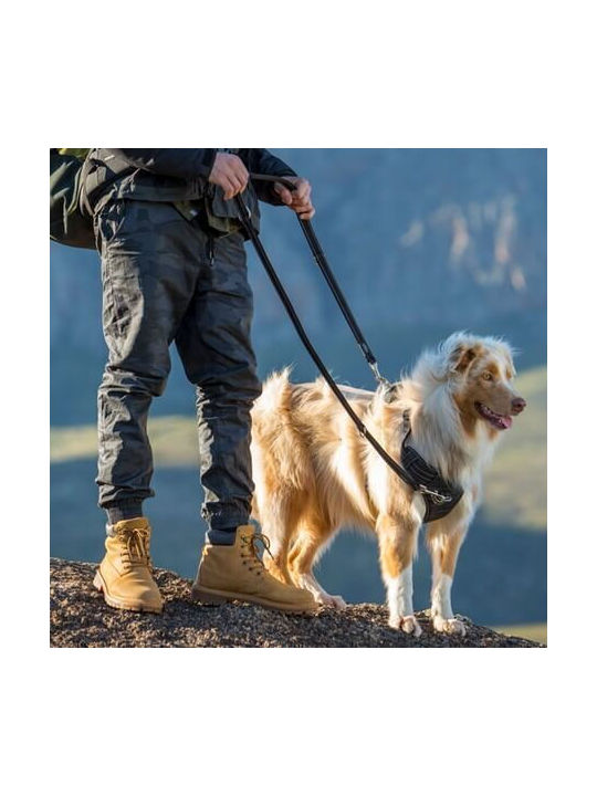 Rogz Hundegeschirr Grün Klein Grün