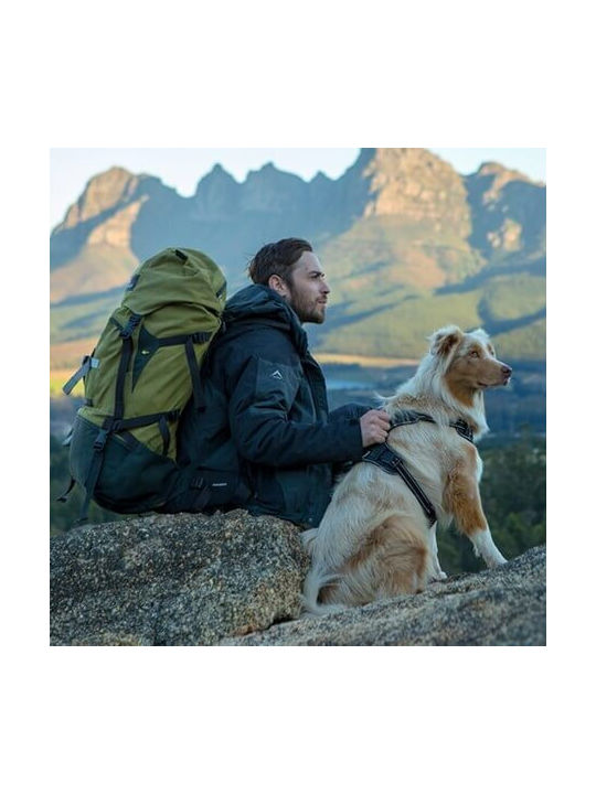 Rogz Hundegeschirr Grün Klein Grün