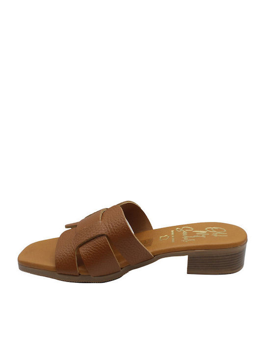 Mules with Low Heel in Brown Color