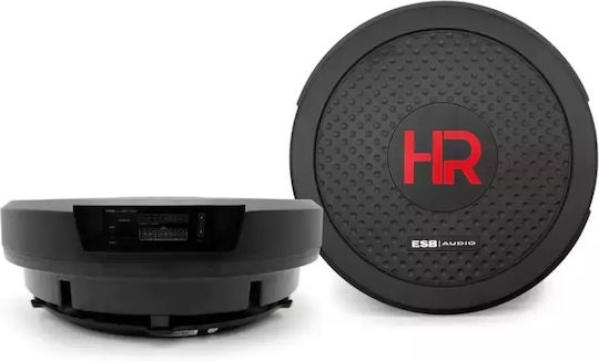ESB Subwoofer Αυτοκινήτου 200W RMS