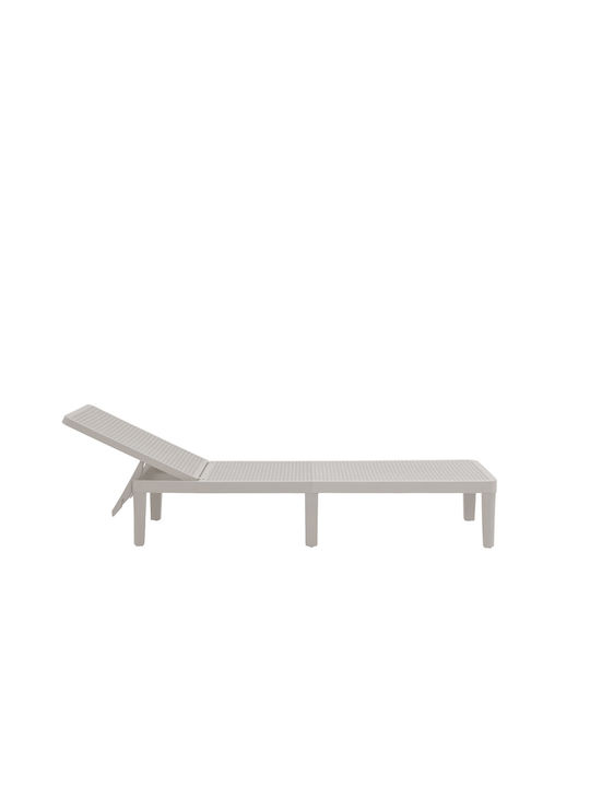 Ξαπλώστρα Πλαστική Seagull Γκρι 191x55x29εκ.