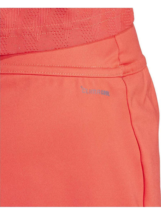 Match Logo Shorts