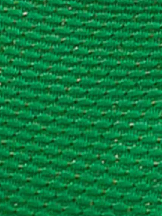 Bikini Slip with Ties Green