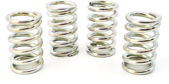 Clutch Springs Honda Astrea Supra Lifan-125 Newfren