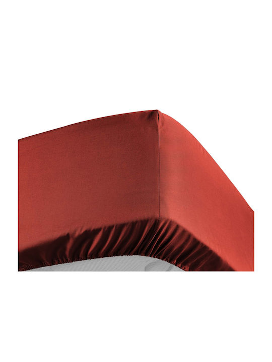 Douceur d'Intérieur Σεντόνι Υπέρδιπλο με Λάστιχο 160x200εκ. Tomette