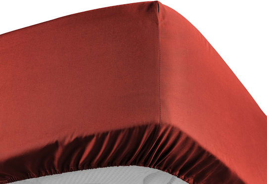 Douceur d'Intérieur Σεντόνι Υπέρδιπλο με Λάστιχο 160x200εκ. Tomette