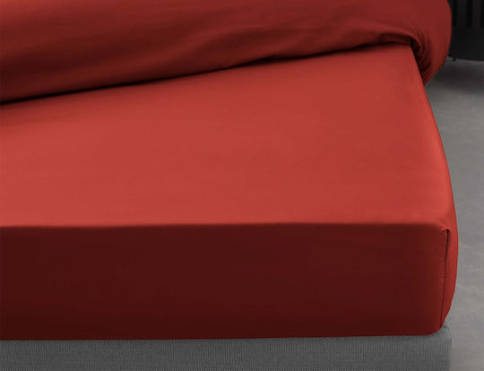 Douceur d'Intérieur Σεντόνι Υπέρδιπλο με Λάστιχο 160x200εκ. Tomette