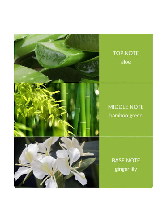 Heart & Home Aromatisches Soja-Kerze Bamboo im Gefäß mit Duft Zedernholz & Weißer Moschus 210g