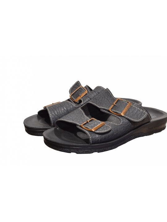 Fild Anatomic Fild Anatomic