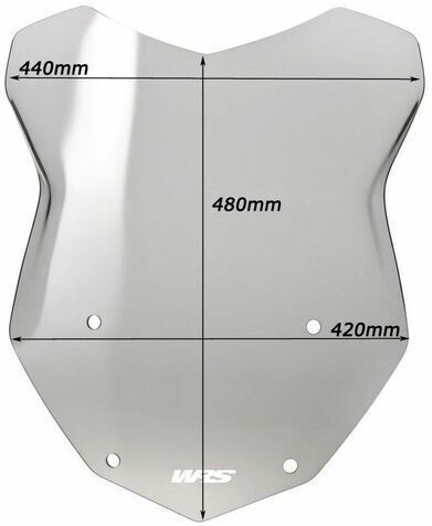 WRS Getöntes Visier Motorrad für BMW R 1200 BM009F