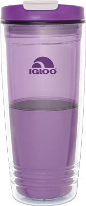 Igloo Havasu Double Wall Glass Thermos Stainless Steel BPA Free 650ml Purple with Mouthpiece
