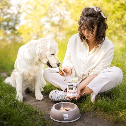 VetExpert Paleo Nasses Hundefutter in Dose mit Schweinefleisch ohne Getreide & Gluten 800gr