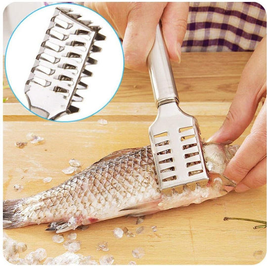 Fish Descaler made of Stainless Steel