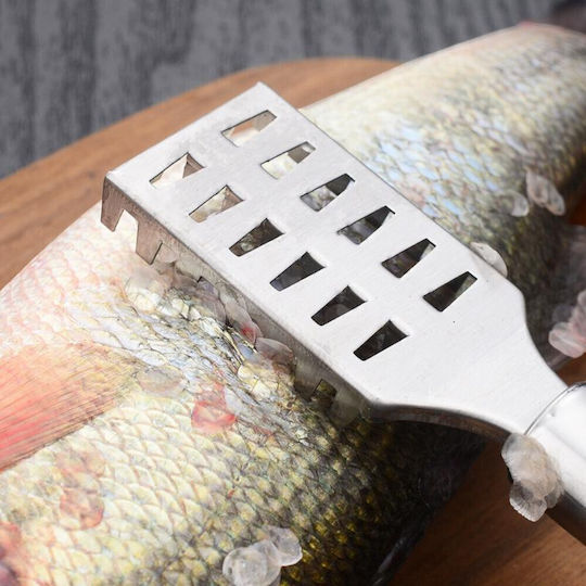 Fish Descaler made of Stainless Steel