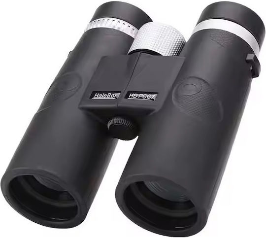 Binoculars 10x42