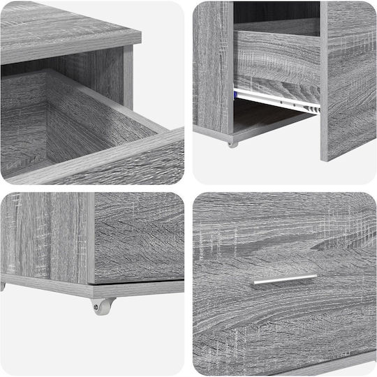 Cabinet de depozitare L55xW45xH33.5buc