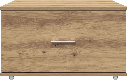 Cabinet de depozitare L55xW45xH33.5buc