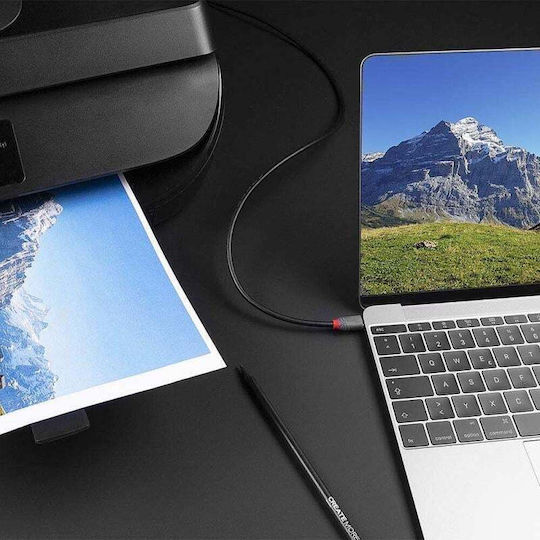 Lindy USB 2.0 Kabel USB-C männlich - USB-B Schwarz 2m (36942)