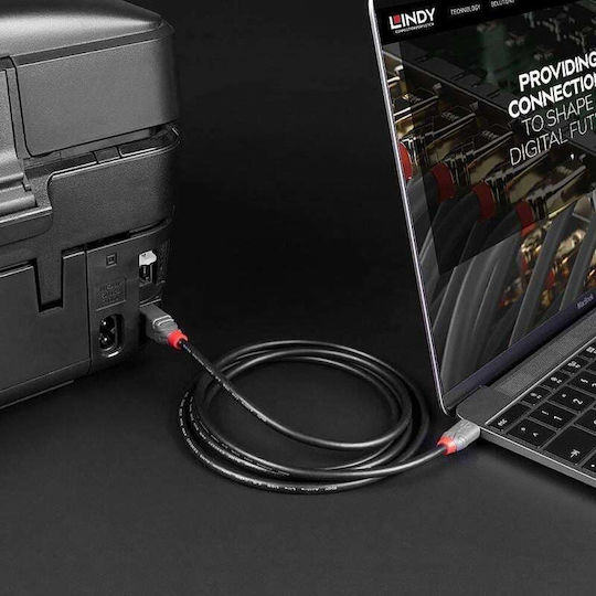 Lindy USB 2.0 Kabel USB-C männlich - USB-B Schwarz 2m (36942)