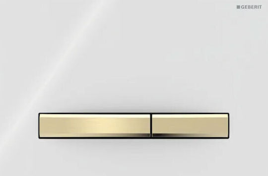 Geberit Sigma 50 Πλακέτα για Καζανάκια Διπλής Λειτουργίας
