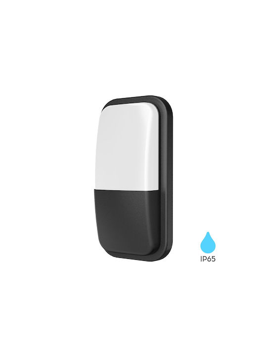 Braytron Επιτοίχιο Εξωτερικό Φωτιστικό IP65 23.5x12x7εκ.