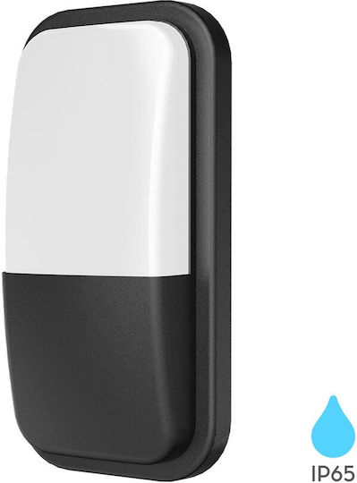 Braytron Стенен Външен Осветител LED IP65 15W 23.5x12x7см