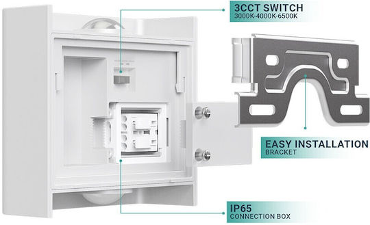Braytron Επιτοίχιο Εξωτερικό Σποτ LED IP65 2W με Ρυθμιζόμενο Λευκό Φως 11x10x4.1εκ.