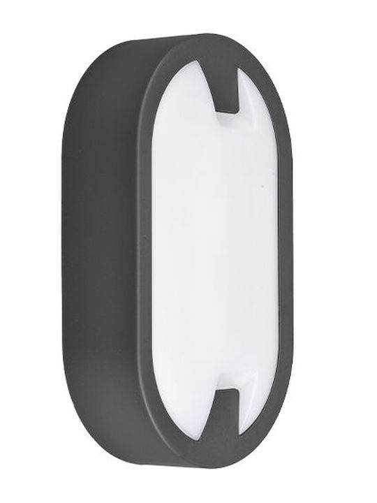 Braytron Επιτοίχια Χελώνα Εξωτερική IP65 21.5x12.5x5.9εκ.