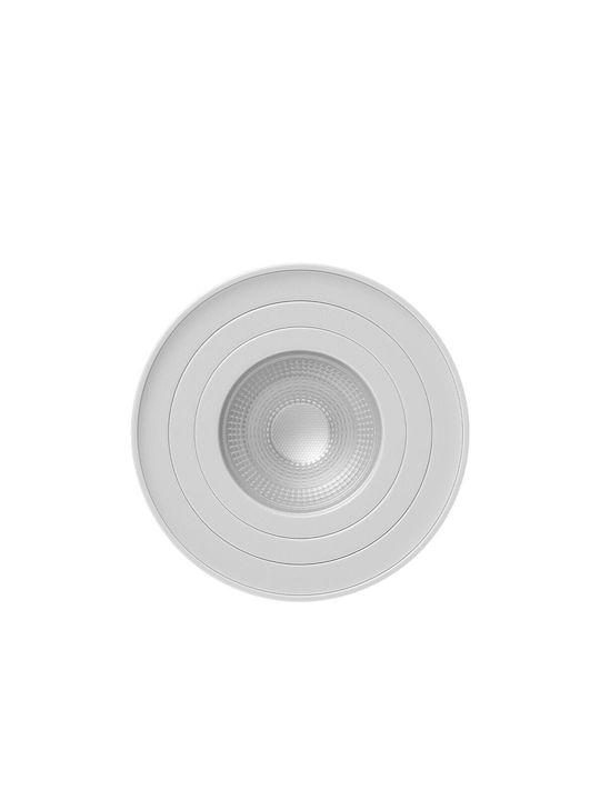 Braytron Single Spot with Socket GU10 in White Color