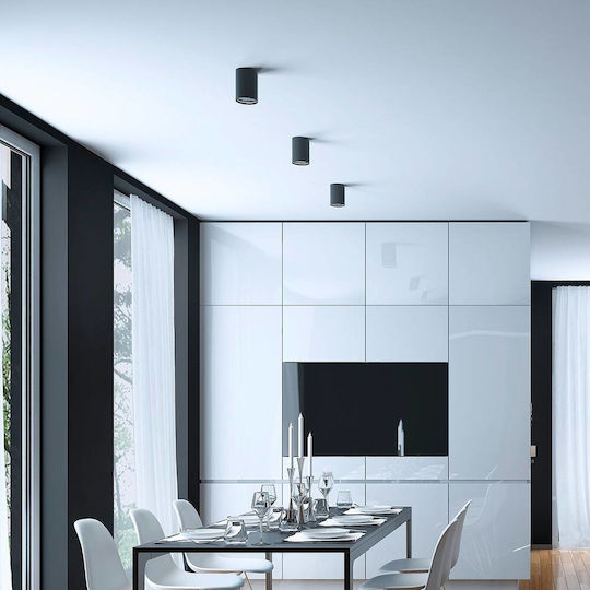 Braytron Einzel Spot mit Fassung GU10 in Schwarz Farbe