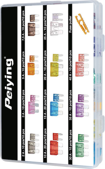 Car Fuses Box 250 Pcs
