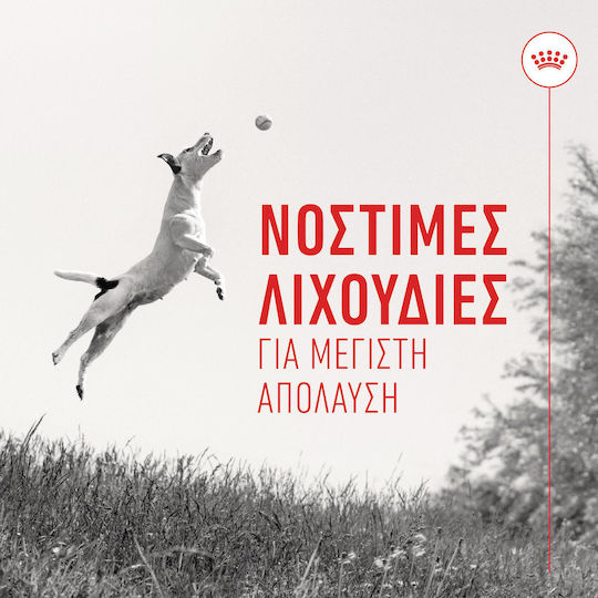 Royal Canin Training Treats Λιχουδιά Σκύλου με Πουλερικά 110gr