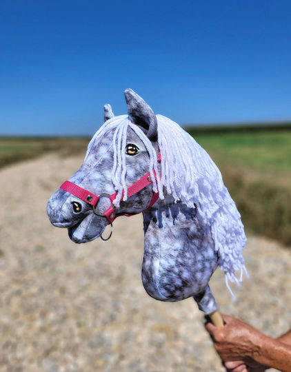 Super Hobby Horse Joc de imitație