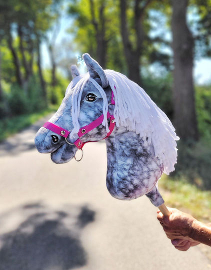 Super Hobby Horse Joc de imitație