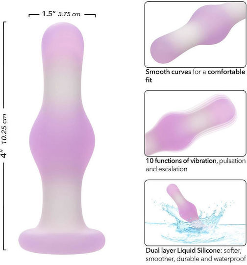 Anal Plug with Vibration Purple