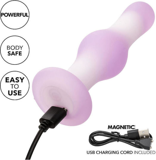 Anal Plug with Vibration Purple