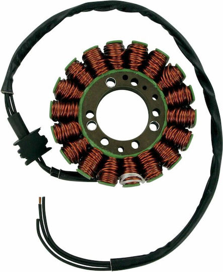 Ricks Motorsport Electric Volan Motorrad 21-410