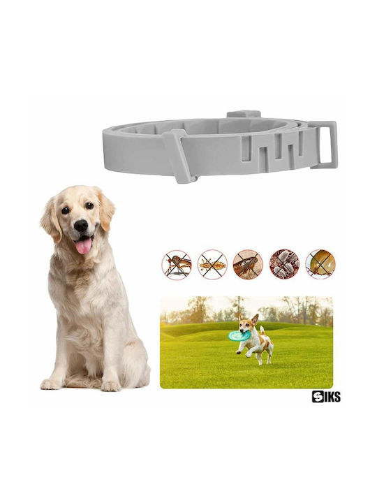 Zgarda Antiparazitară Câini Pisici Pe Bază De Uleiuri Vegetale Protecție Anti-purici Căpușe Până La 8 Luni Fără Alergeni 62x1.5 Cm Silicon Gri