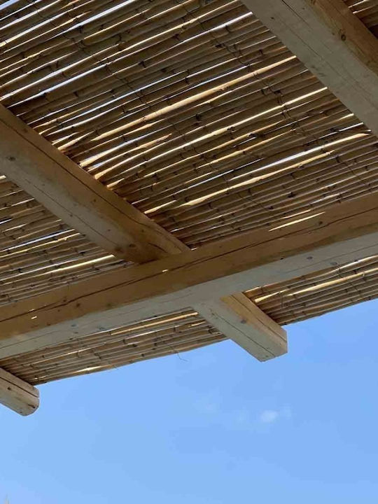 Showood Bambuszaun mit Ganzes Schilf 2x3m